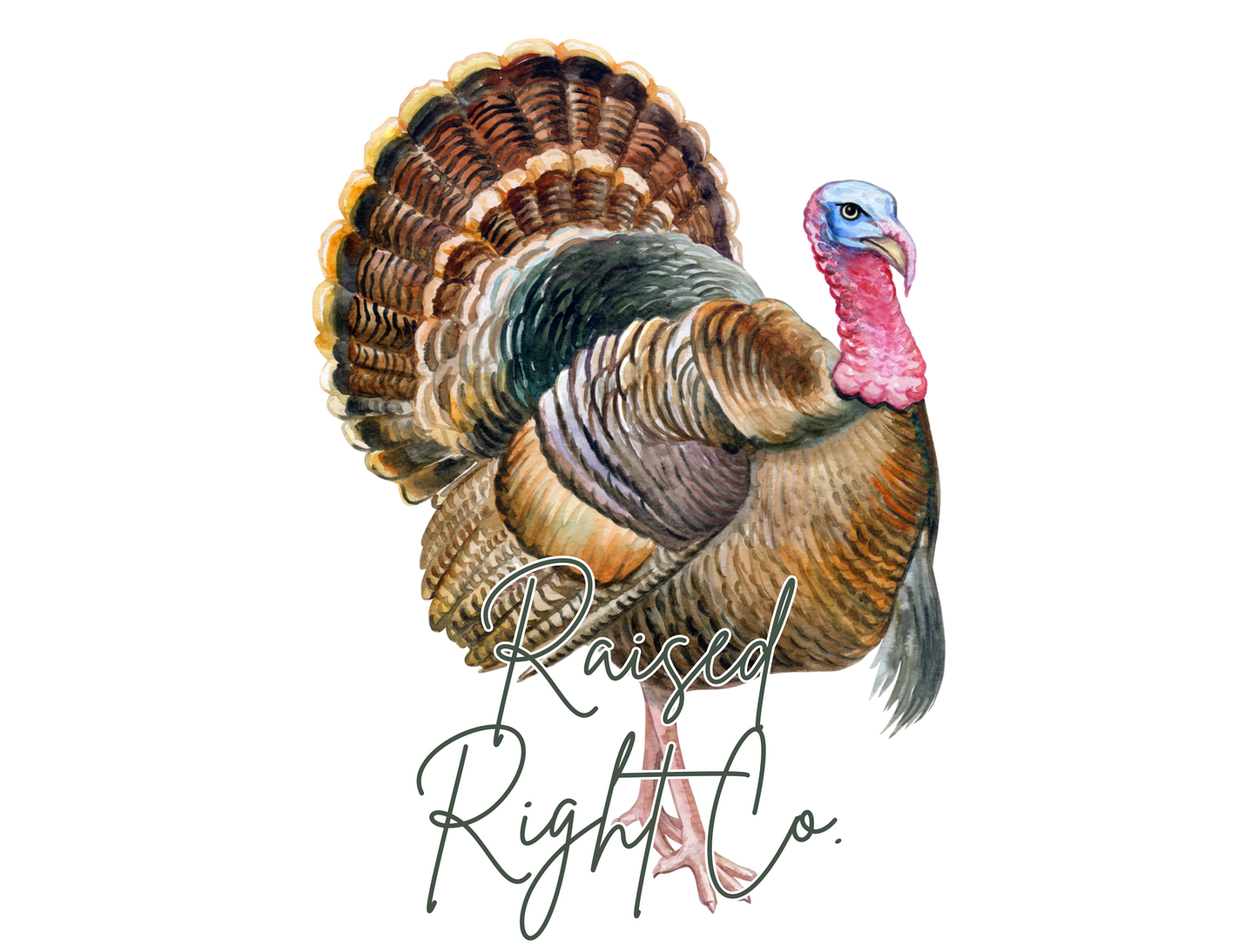 Turkey Onesie