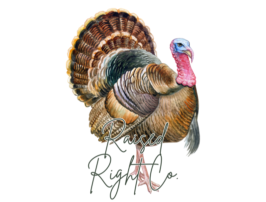 Turkey Onesie