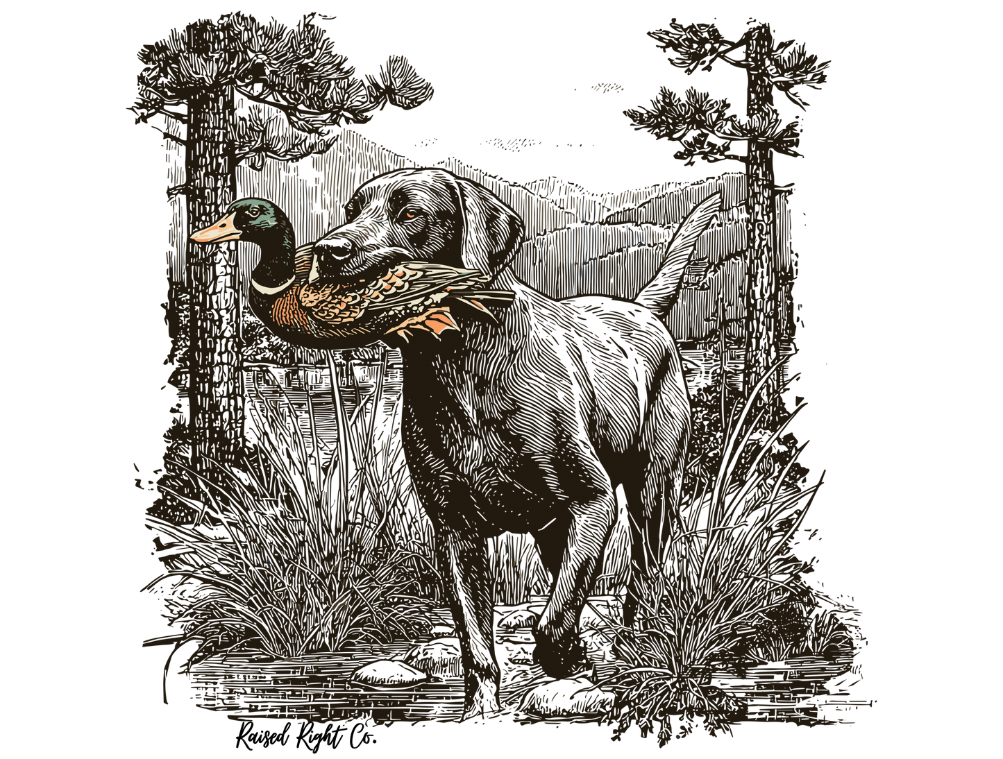 Dog with Duck Hunting Onesie